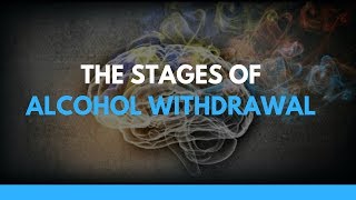 The Stages of Alcohol Withdrawal [upl. by Raamaj]