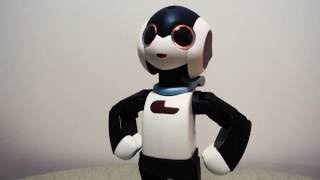 Meet Robi the Singlish Robot You Have To Build Yourself [upl. by Nyahs]