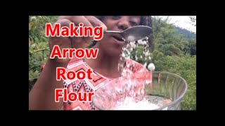 HOW TO MAKE ARROWROOT FLOUR Making Arrowroot Flour  Country Living [upl. by Ayatahs]