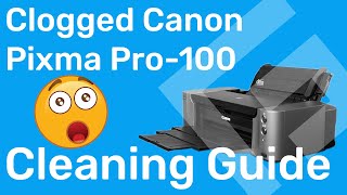 How to Clean a Severely Clogged Canon Print Head – Freehand Graphics™ [upl. by Tepper]