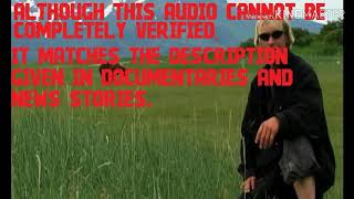 Lost Media Files The Timothy Treadwell Tape Lost Audio of Bear Attack Status Lost [upl. by Auos]