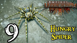 Empires of the Undergrowth  9  quotHungry Spiderquot [upl. by Jolda]