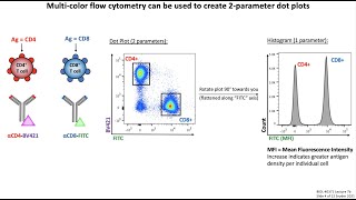 Lecture 7b Flow Cytometry [upl. by Idieh]