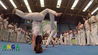 Anga Capoeira Poder Feminino [upl. by Eiggam396]