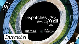 Exploring our biggest questions  Dispatches from The Well Trailer [upl. by Atteynad]