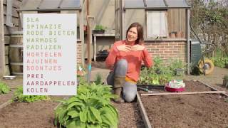 Groenten zaaien of planten [upl. by Chemosh]