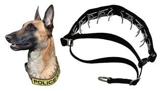 Covert Prong Dog Collar [upl. by Lai]