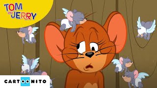 Tom und Jerry  Rivalen der Liebe  Cartoonito [upl. by Sorips]