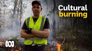 Indigenous fire methods protect land before and after the Tathra bushfire  ABC Australia [upl. by Erodasi]