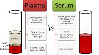 Plasma Vs serum Vs antiserum [upl. by Hollie]