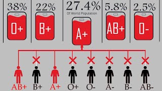 Comparison BLOOD Group [upl. by Ettenyar]