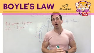 Boyles Law  Respiratory System [upl. by Leirea]