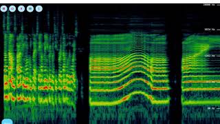 Spectrogram tutorial [upl. by Eiramlehcar]