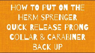 Herm Sprenger Quick Release Prong Collar How to Fit [upl. by Lichter]