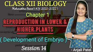 Class XII Biology  Reproduction in lower and higher plants  Development of Embryo [upl. by Thoer360]