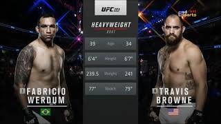 Fabricio Werdum vs Travis Browne [upl. by Teador835]