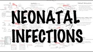 Neonatal Infections  Overview [upl. by Gower]