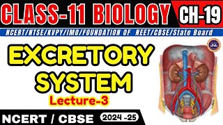 EXCRETORY SYSTEM I L3 I CHAPTER  19 I CLASS11 I NEETCBSEState Board [upl. by Tami]