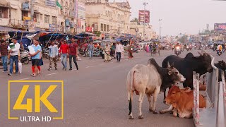 Everyday Life of Puri  4K Travel Film  Incredible India  Cities of the World [upl. by Rivalee]