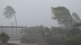 Strong Winds Torrential Rain  Typhoon Noul 4K Stock Footage Screener [upl. by Ja]