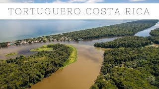 Visiting Tortuguero Costa Rica National Park Turtles and Canals [upl. by Hultin]