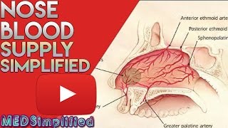 Adenoidectomy  actual footage [upl. by Ellener881]