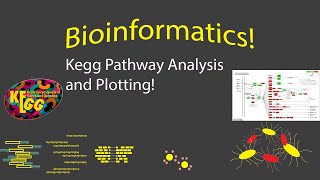 Bioinformatics  KEGG Pathway Visualization in R [upl. by Layor37]