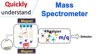 Mass spectrometry [upl. by Yoc]