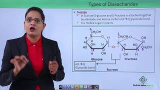 Biomolecules  Oligosaccharides [upl. by Glass]