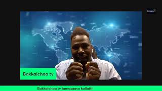 breakingnews Bakkalcha Tv ethiopia [upl. by Llednew459]