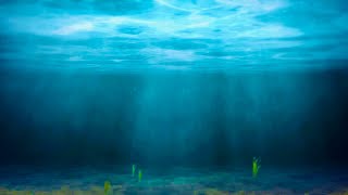 Magical underwater ocean light God rays animated background video No Copyright  Nature background [upl. by Adyht]