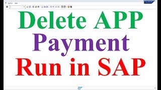 How to Delete APP Payment run in SAP [upl. by Frame]