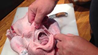 Éviscération dun poulet fermier  how to eviscerate a chicken french [upl. by Letnom]