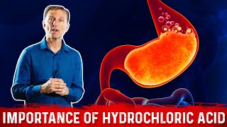 The Importance of Hydrochloric acid HCL in the Stomach – Dr Berg [upl. by Ayisan960]