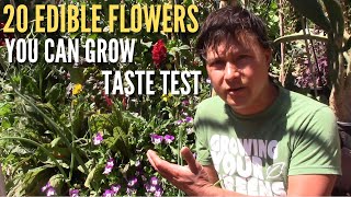 20 Edible Flowers You Can Grow amp Eat Taste Test [upl. by Ross515]