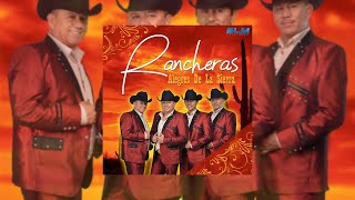 Alegres Rancheras De La Sierra  Rancheras Mix [upl. by Ketchum]