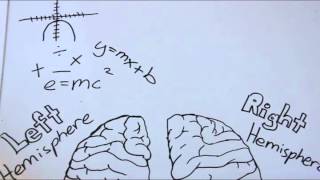 Roger Sperrys Split Brain Experiment [upl. by Lessard]