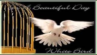 Its A Beautiful Day  White Bird 1969 [upl. by Navets801]