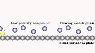 Chromatographic Separation Explained [upl. by Schroth]