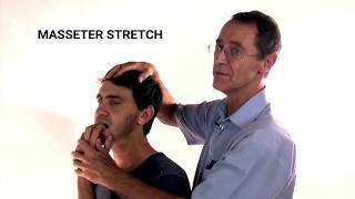 How to Stretch the Masseter Muscle  Trigger Point Therapy [upl. by Patricio461]