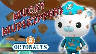 Octonauts  Mucky Mudskippers  Troublesome Creatures [upl. by Ohcirej657]