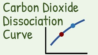 Carbon Dioxide Dissociation Curve [upl. by Sik431]