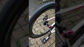 Campagnolo Bora WTO 60 free hub sound [upl. by Attenad146]