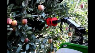 Apple Harvesting Robot [upl. by Renrew]