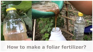 How to make a foliar fertilizer  Lets go organic  The Millennial Farmer PH [upl. by Araem487]