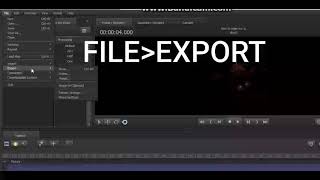 SFM How to Export an Animation [upl. by Eirak]