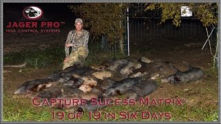 Hog Trapping  22 1919 Feral Hogs Removed Using Capture Success Matrix™  JAGER PRO™ [upl. by Egwan]