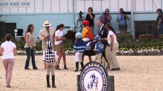 Shetland Ponies Exhibition at the DevonHS [upl. by Aviva]