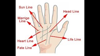 HOW TO READ YOUR OWN PALM LINES [upl. by Lairea]