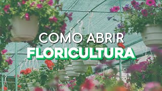 COMO ABRIR UMA FLORICULTURA [upl. by Aihsyn]